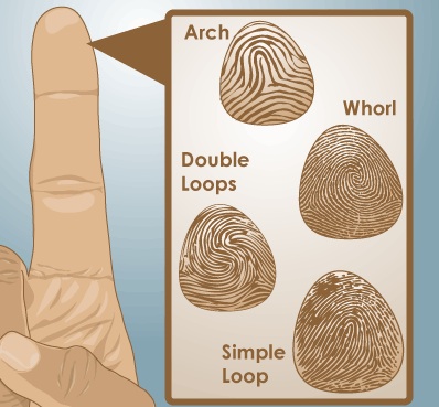 What are some different forms of biometric identification?